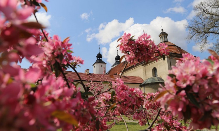 Nowa strona naszego Domu